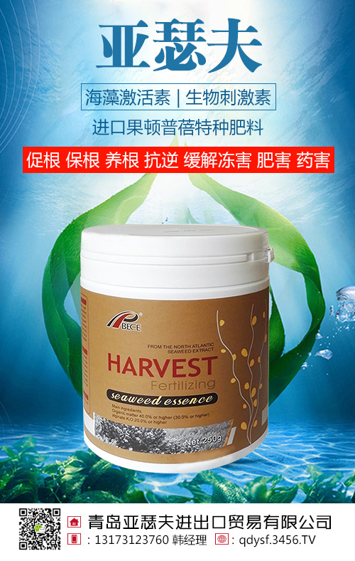 ���弤����������̼���