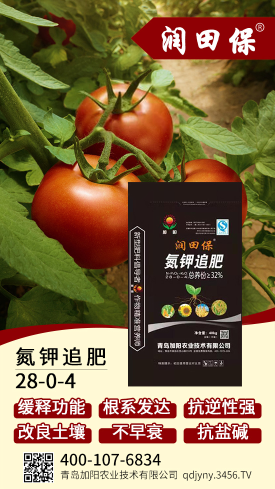 ���׷��28-0-4-��(r��n)�ﱣ-���(y��ng)