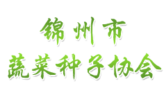 �\�����߲˷N�Ӆf(xi��)��(hu��)