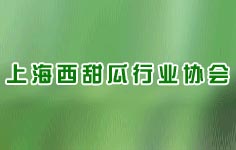 �Ϻ�������ИI(y��)�f(xi��)��(hu��)