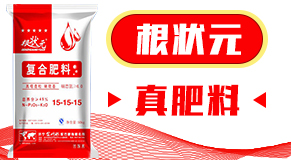 ɽ�|��(j��)����W(w��ng)(li��n)�䷽�����޹�˾