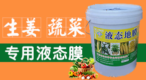 ���K���Һ�B(t��i)��Ĥ�S