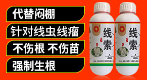 ��(l��)�����r(n��ng)��ʿ��(f��)������޹�˾