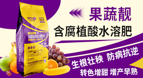 ɽ�|�����������＼�g(sh��)���޹�˾