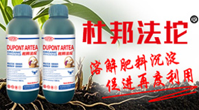 �Ű�������Ƽ����޹�˾