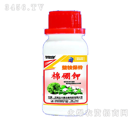 ������-��֦��������