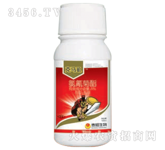 ���Rʭ�������