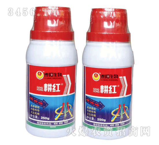 ���t�ݸ�좮������}