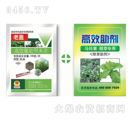 ���w+��Ч����