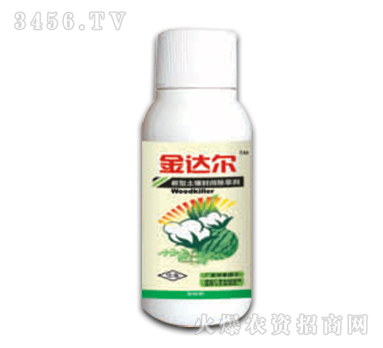 ���_(d��)�������ײݰ�����