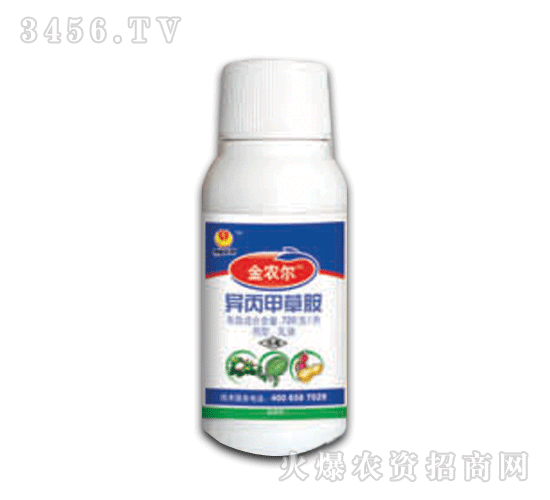 ���r�������ײݰ�����