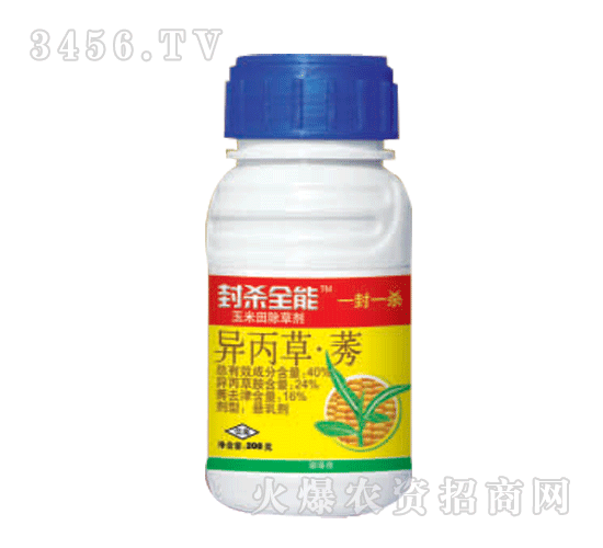 ̩�-�⚢ȫ��