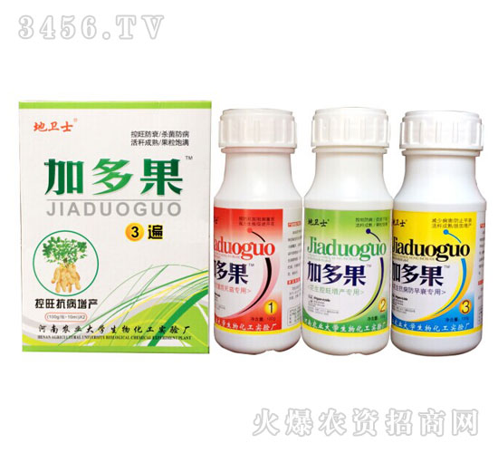 ������������ˎ-�Ӷ��