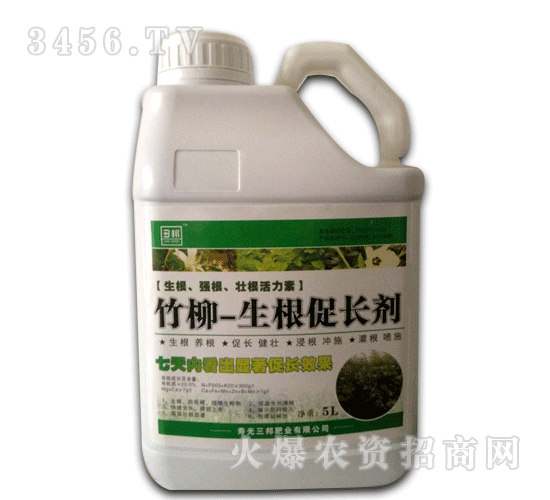 ��ʘI(y��)-����-�������L(zh��ng)��