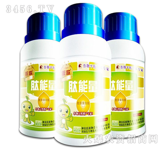 ������-����