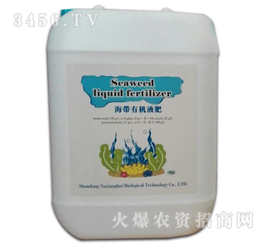 �����ЙCҺ��-���㺣����