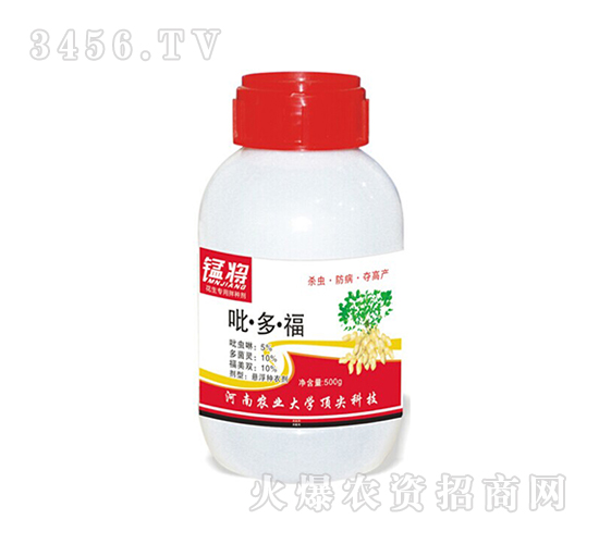 500g���˻�����N��-�͌�