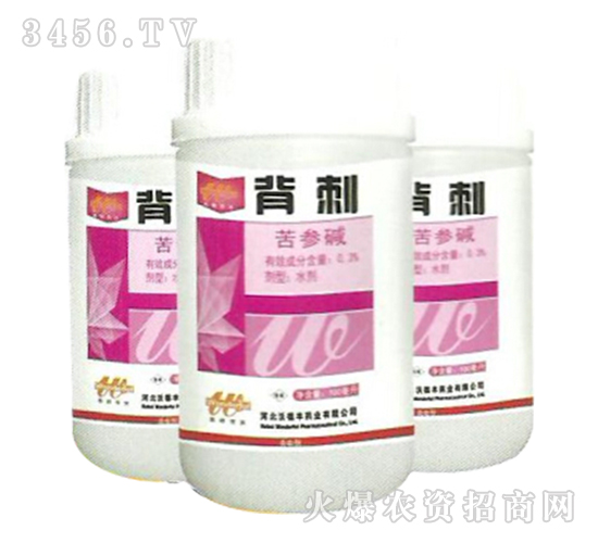 �����A-����-�ֵ��S