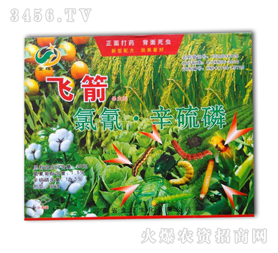 20%����������-�w��-�����rˎ