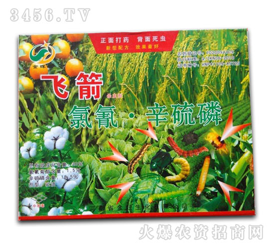 ����������-�w��-�����r(n��ng)ˎ