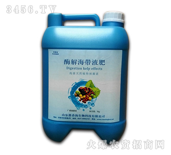 ø�⺣��Һ��-���㺣