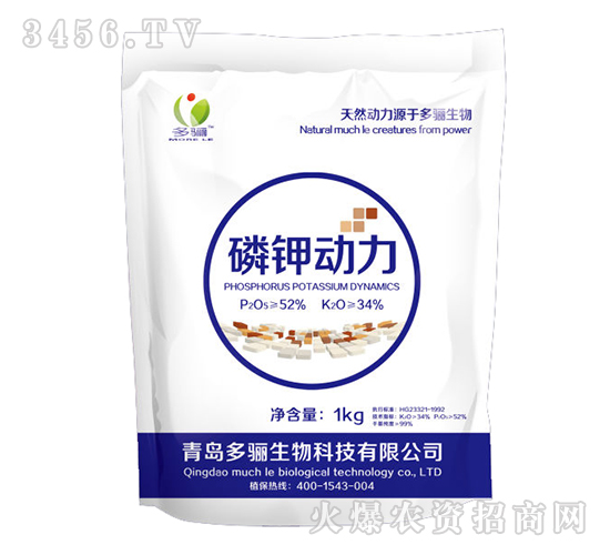 ��⛄���-���P����