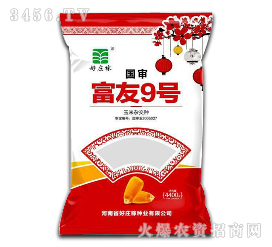 ���s���N-����9̖-���f��