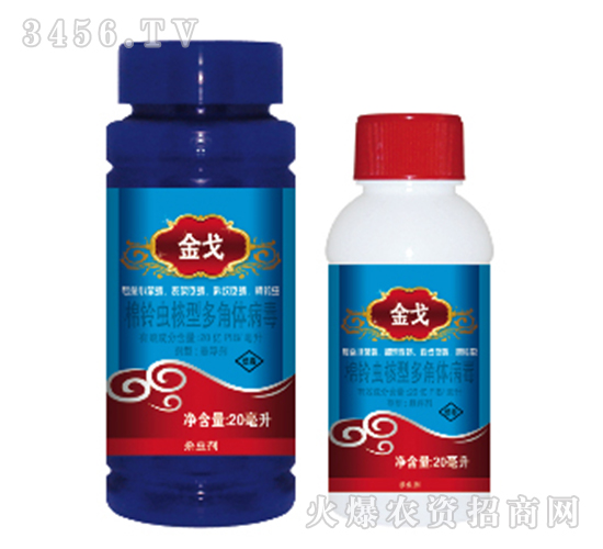 ����x(ch��ng)���Ͷ���w����-���-���{(l��n)�r(n��ng)ˎ