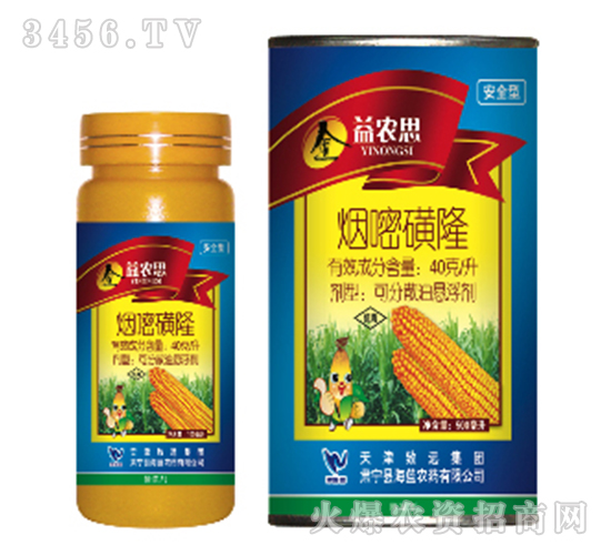 40��/�����׻�¡-���r(n��ng)˼-���{(l��n)�r(n��ng)ˎ