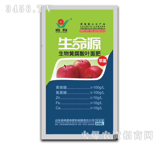 �O�������S�����~���-����Դ-����