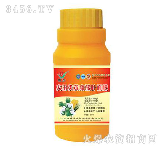 ������~��ʣ�ƿ�b��-����