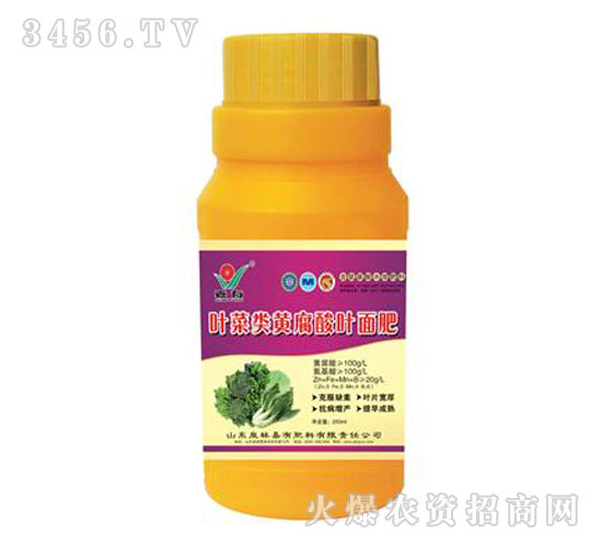 �~���(l��i)�~���ƿ�b-����