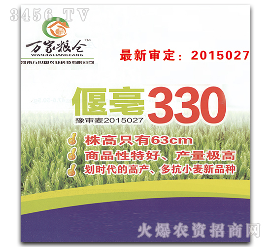 偃毫330-小麥種子-萬家糧倉