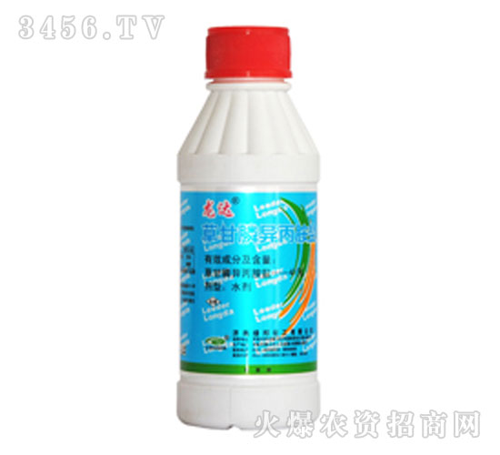 �ݸ�좮����@�}-���_(d��)-�G��