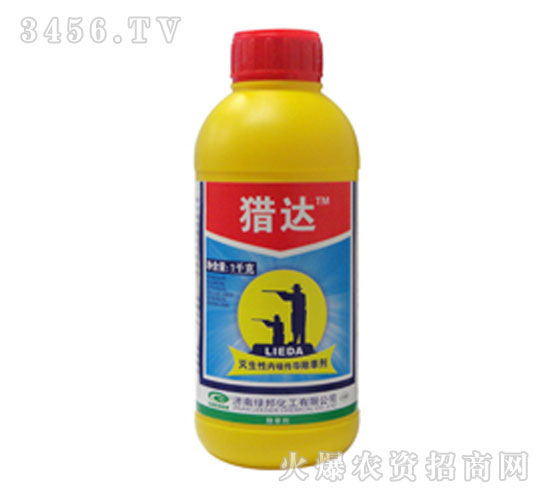 �ݸ��-�C�_-�G��