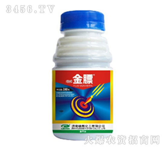 �ݸ��-���-�G��