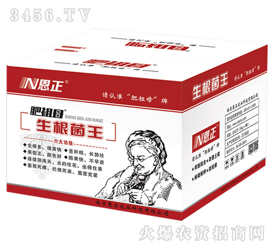 生根菌王-肥祖母-恩正