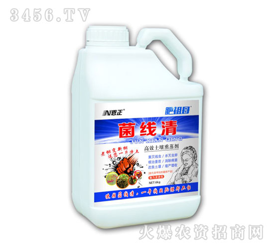 ������-����ĸ-����