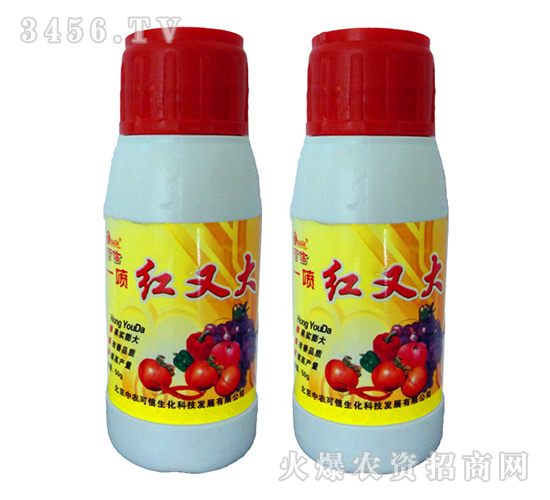 �~���-һ���t�ִ�-���r(n��ng)����