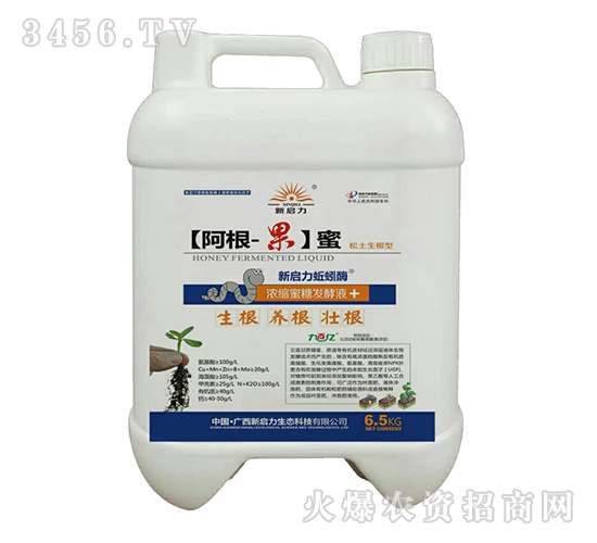 ��s���ǰl(f��)��Һ-����