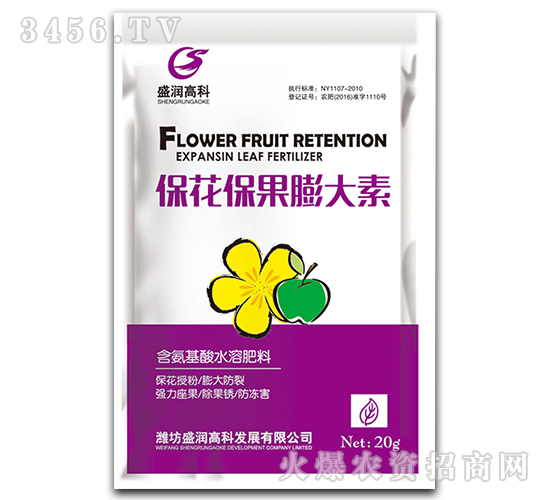 �������������-ʢ���߿�