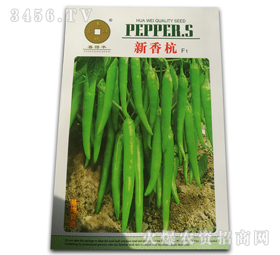 ���㺼F1-�����N��-�A��N�I(y��)