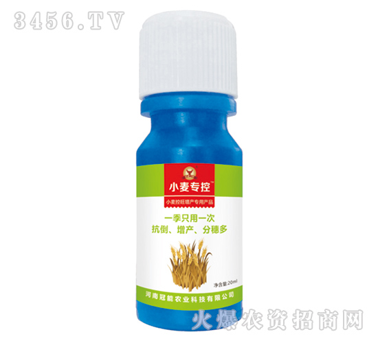 小麥控旺增產(chǎn)專用葉面肥-小麥?？?冠能農(nóng)業(yè)