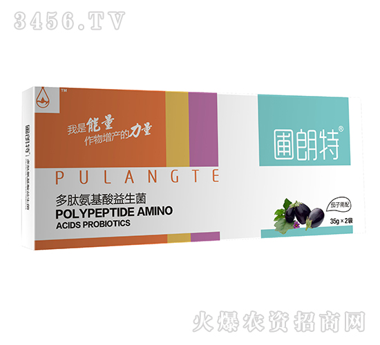 ��������-���İ�����������-������