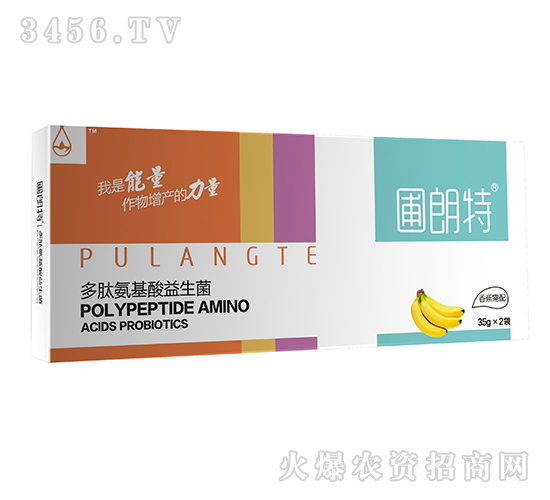 �㽶����-���İ�����������-������