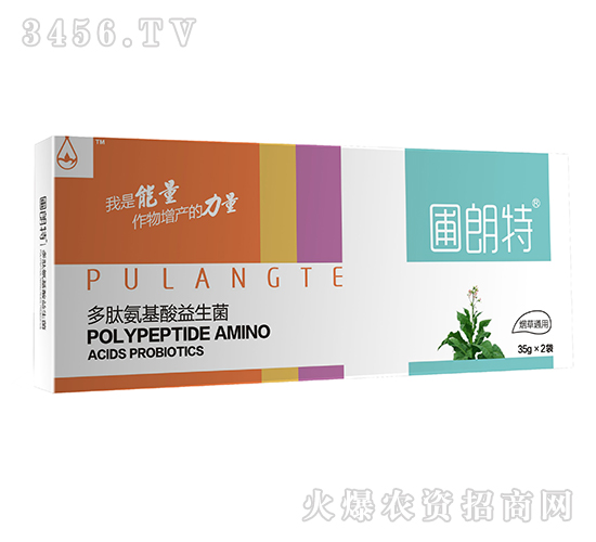 ����ͨ��-���İ�����������-������