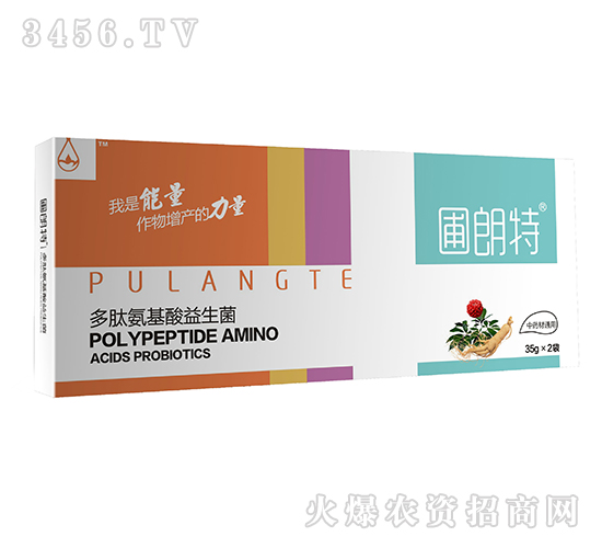 ��ˎ��ͨ��-���İ�����������-������