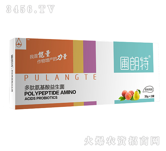 ��������-���İ�����������-������