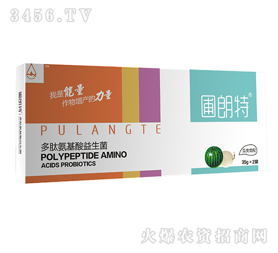 �������-���İ�����������-������