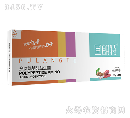 塊根莖需配-多肽氨基酸益生菌-圃朗特